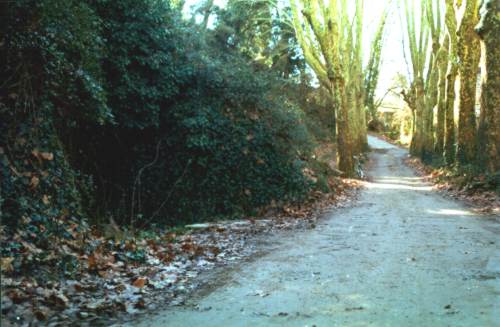 EmplaÃ§ament de l'antiga estaciÃ³ del pantÃ i tÃºnel (gener 1999)